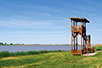 Salt lake in Melenci near  Zrenjanin (Photo: Miodrag Grubački)